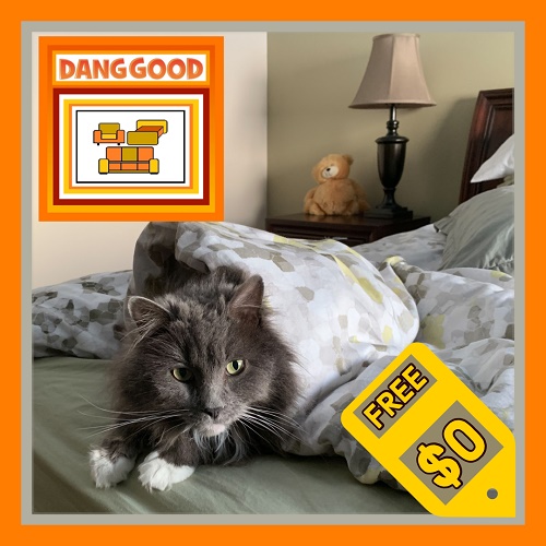 Mattress Cleaning by Dang Good