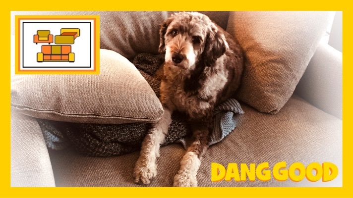 Calgary Upholstery Cleaning