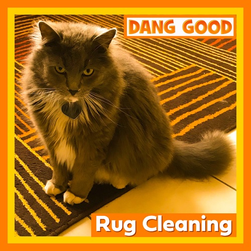 Area Rug Cleaning for Calgary & Airdrie