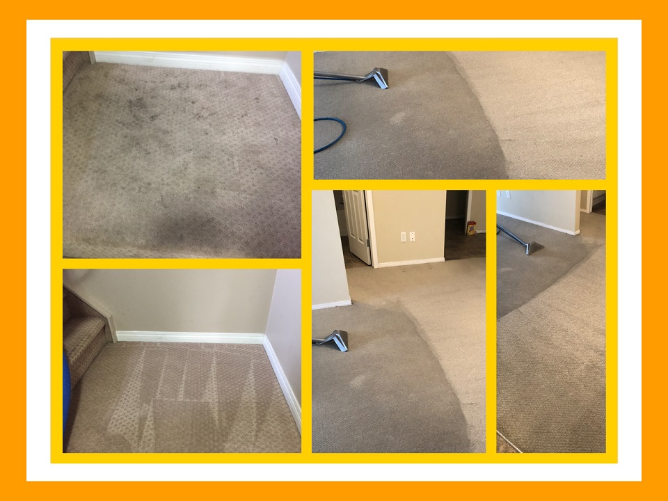 Soiled Carpets before and after