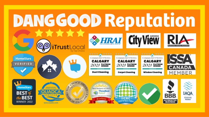 Blog Category A Dang Good Reputation