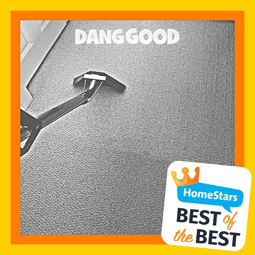 HomeStars Best of the Best Award covering Airdrie