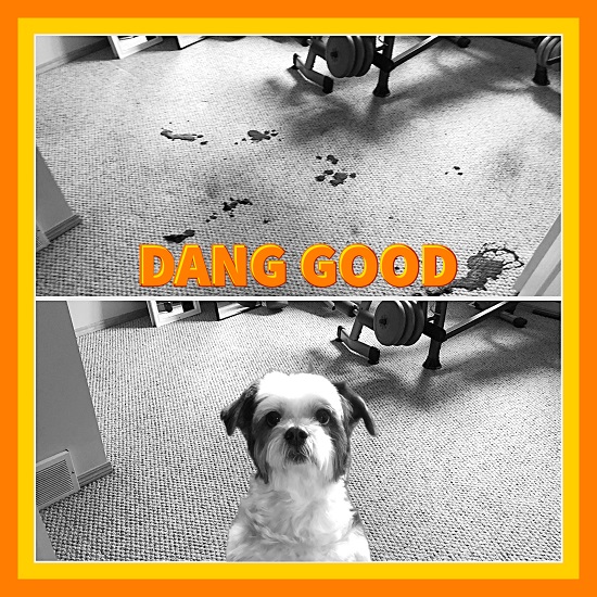 Stain and Odour Treatments