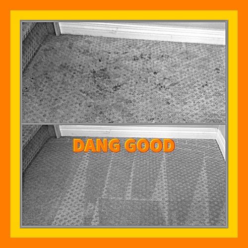 Carpet Stain Removal Service