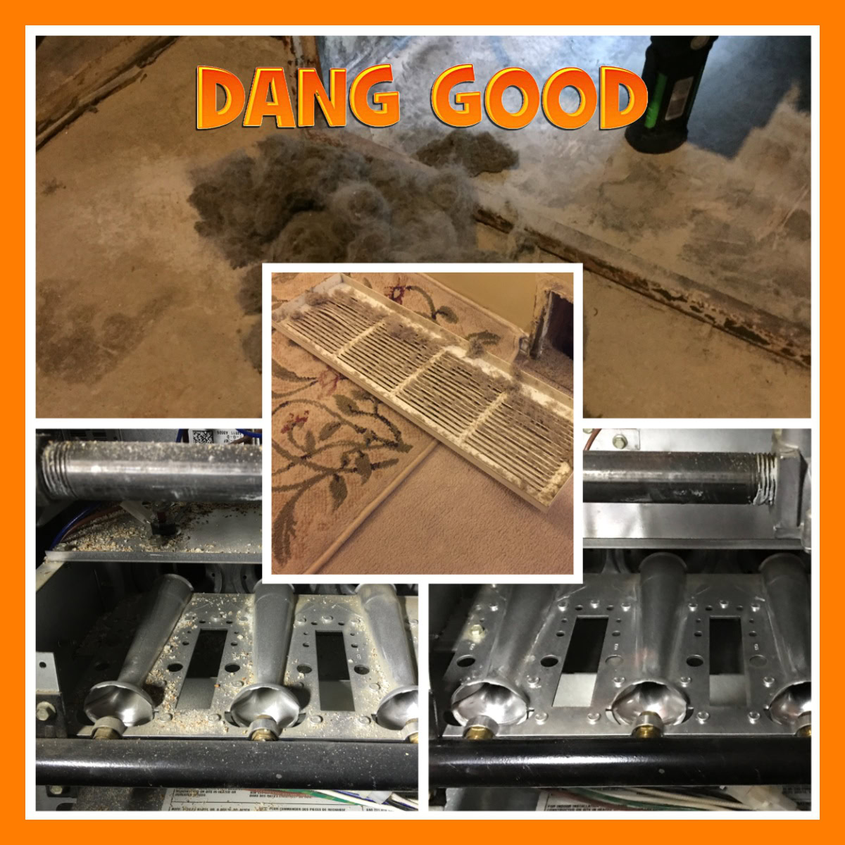 Dog Hair in Furnace and Duct - Before and After Pictures Calgary