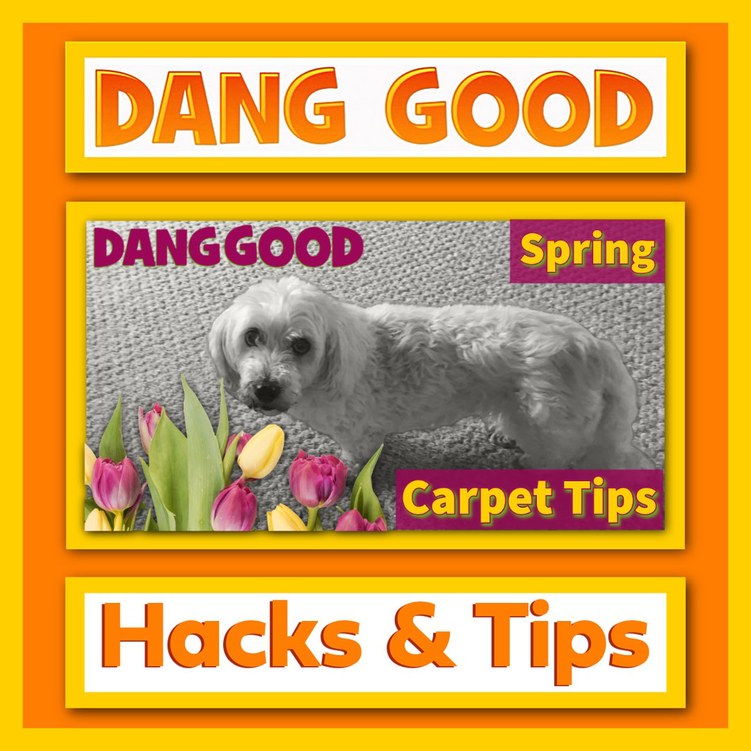 12 Carpet Cleaning Hacks for Your Spring Clean