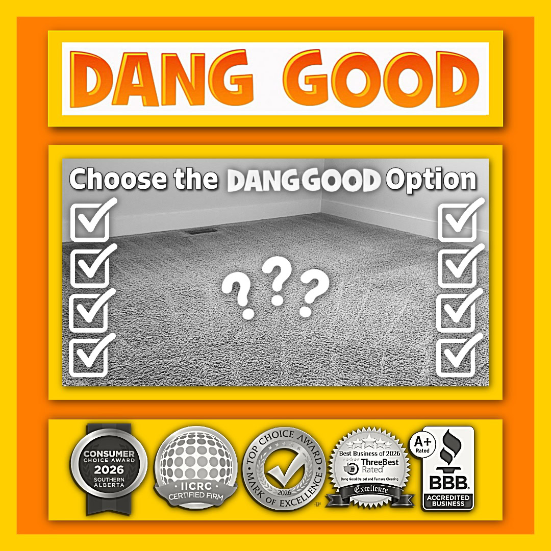 Narrow down the Best Carpet Cleaner