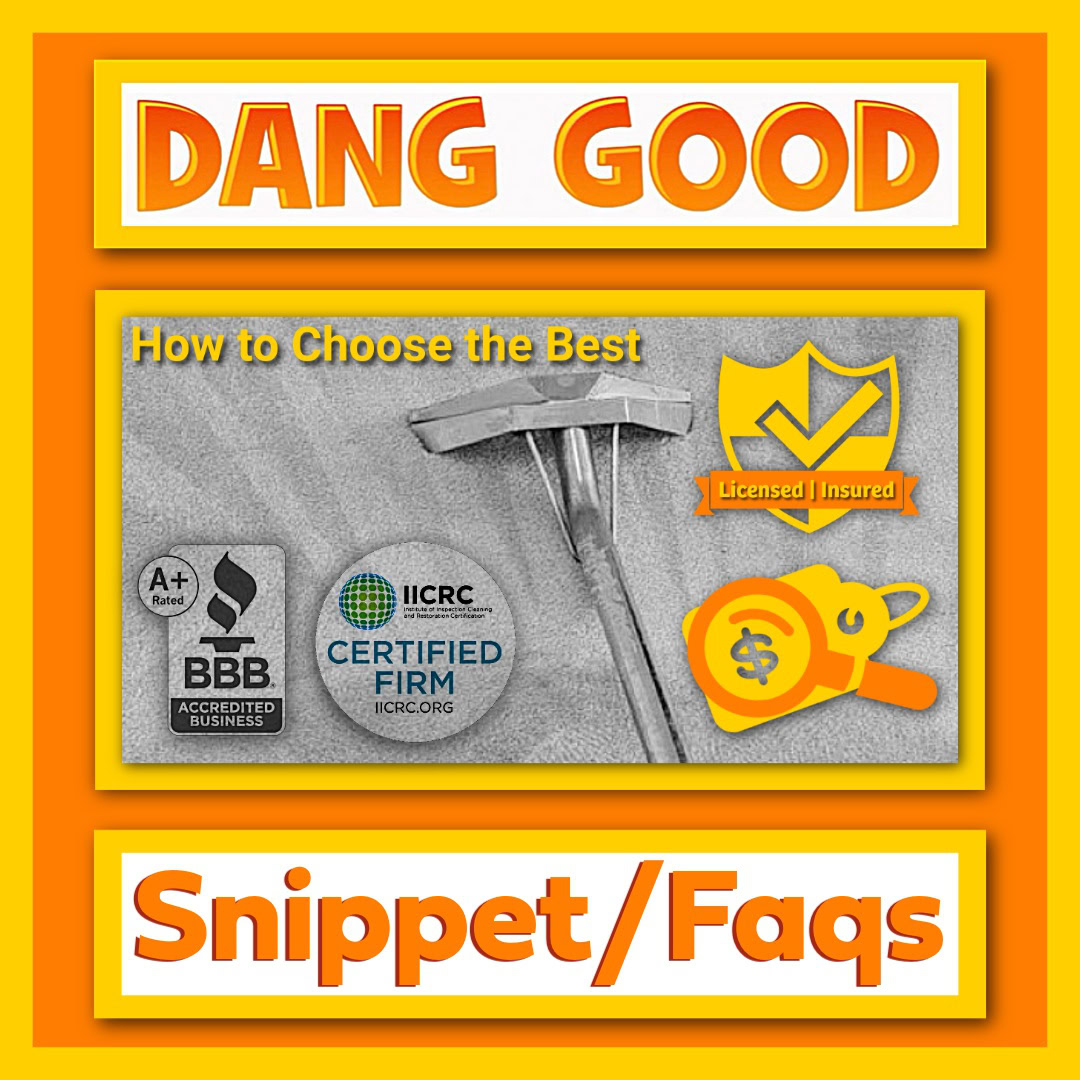 The Best Carpet Cleaner Calgary