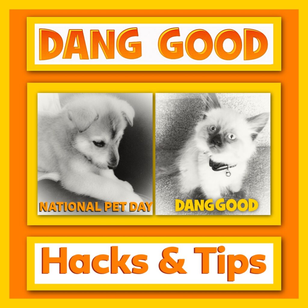 National Pet Day