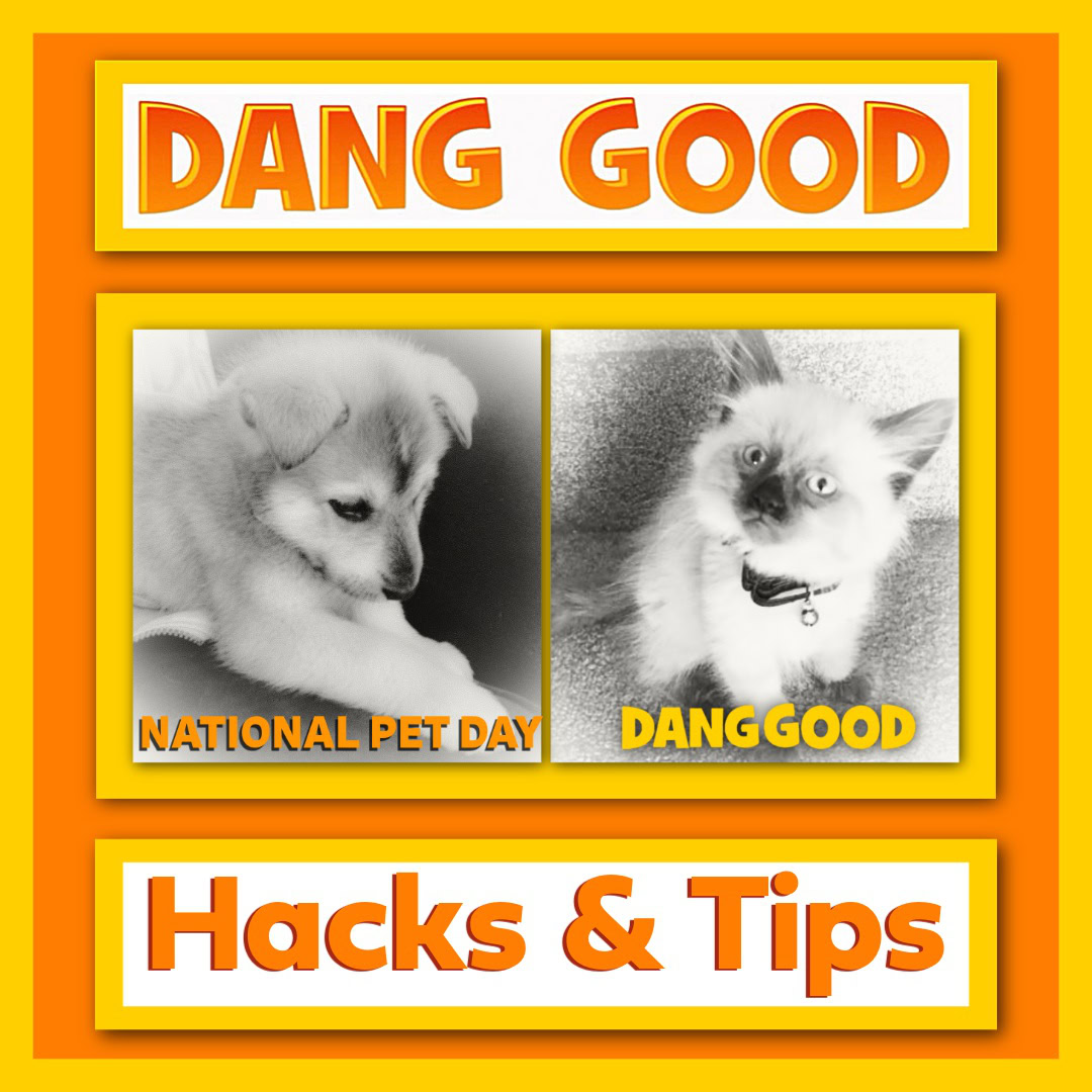 Cleaning Tips for Pet Owners on Pet Day