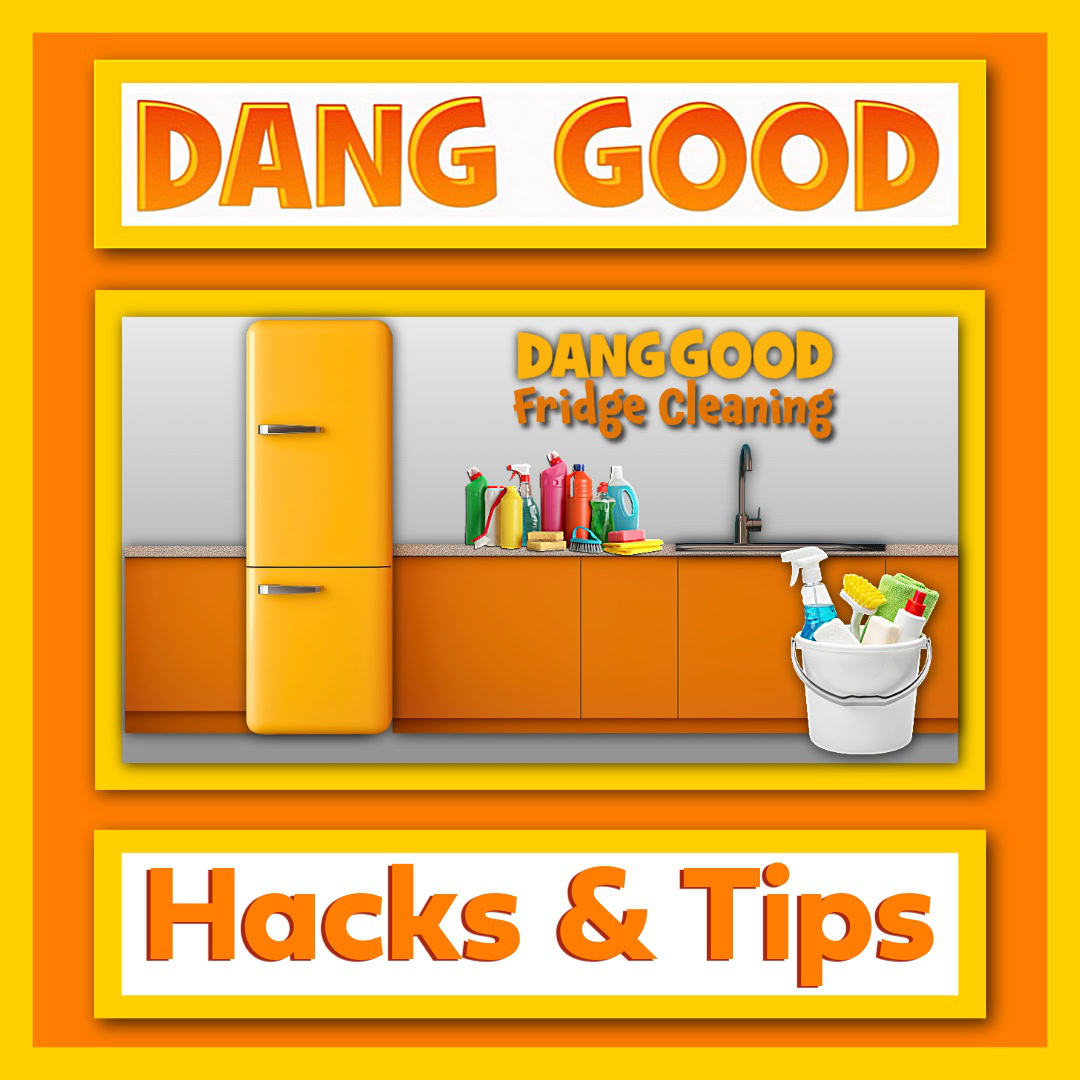 A Dang Good Fridge Cleaning