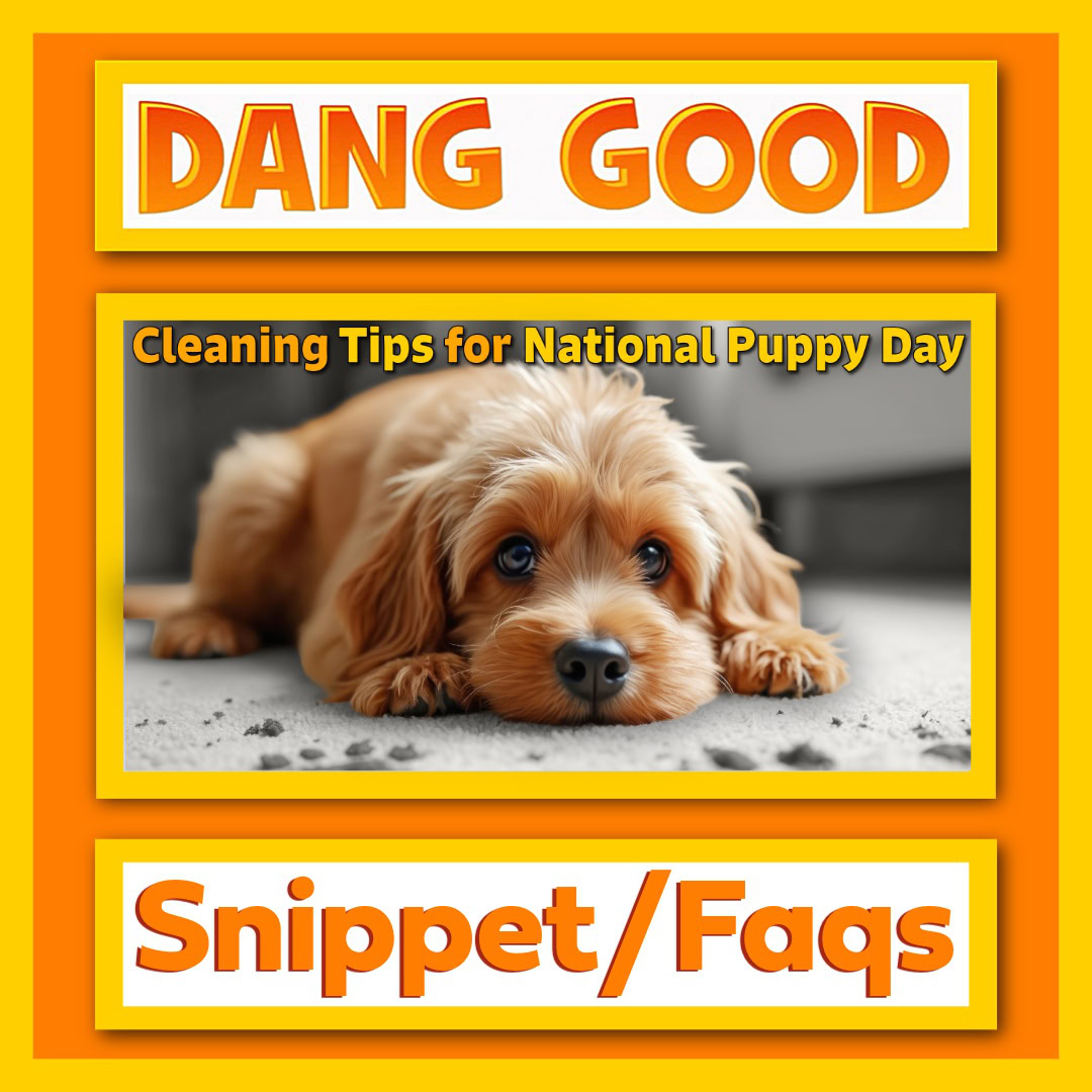 Adorable Puppy Makes a Mess