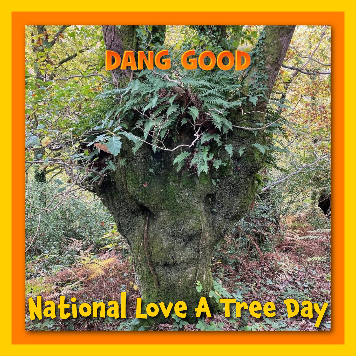 National Love a Tree Day