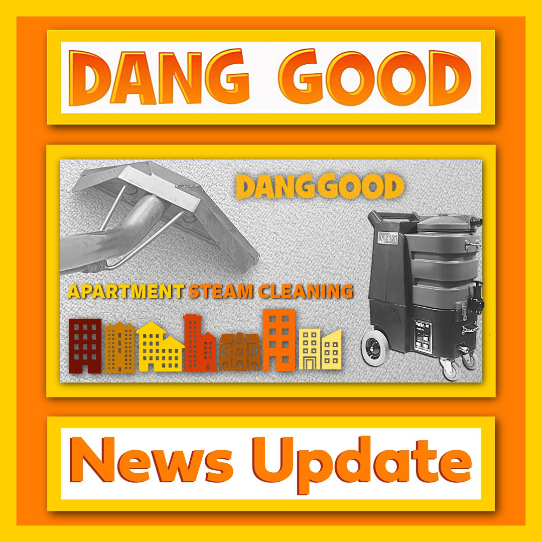 Steam Cleaning in Apartments