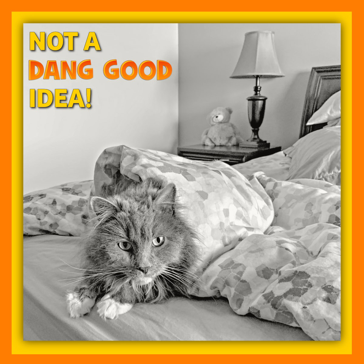 We do not recommend pets on the bed